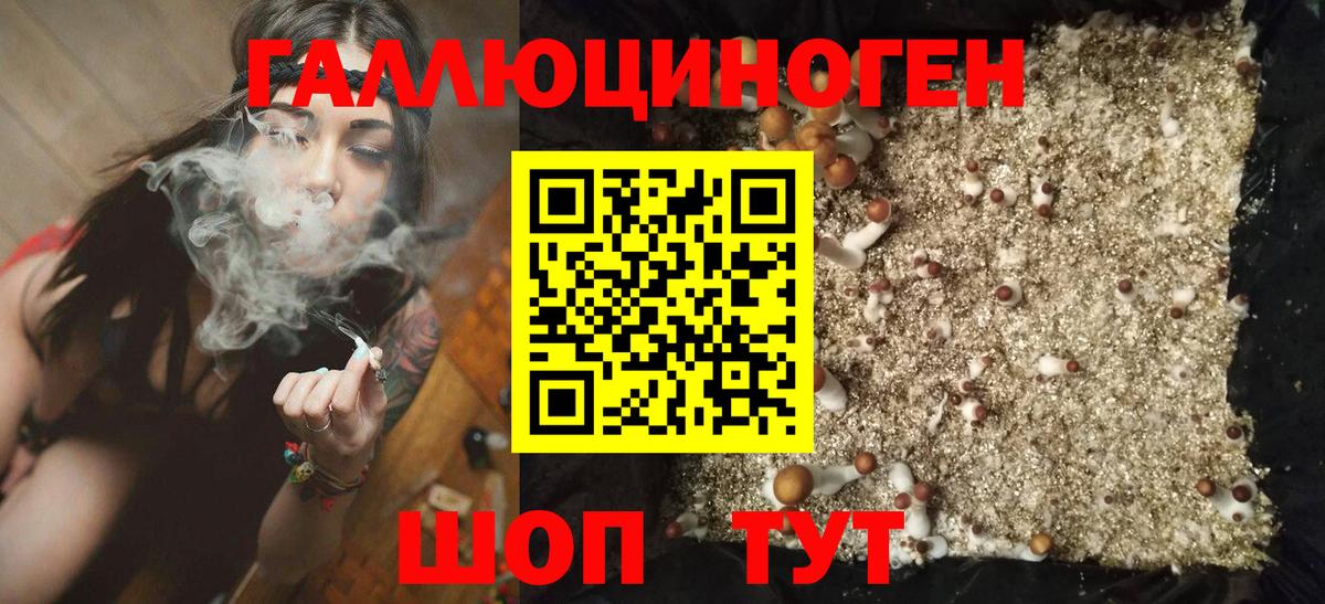 Галлюциногенные грибы прущие грибы  Вход с VPN  Псилоцибиновые грибы Psilocybine cubensis  где можно купить   Лесозаводск 